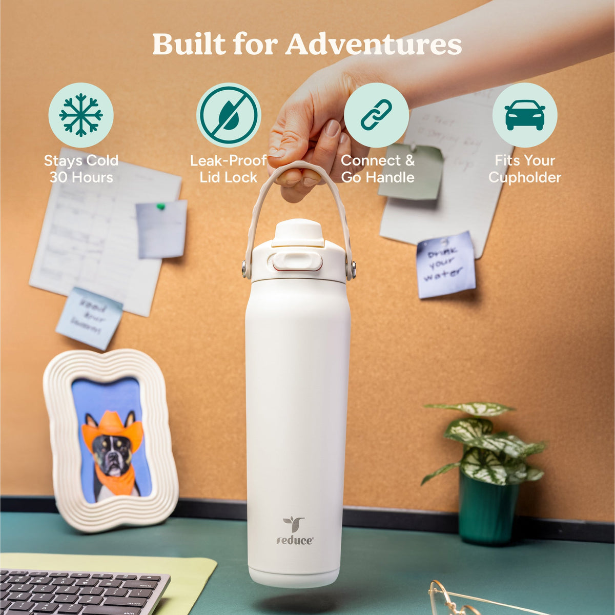 aura-26-oz-d5 Aura_26oz_LilacBud_PDP_Infographic_1-23.jpg