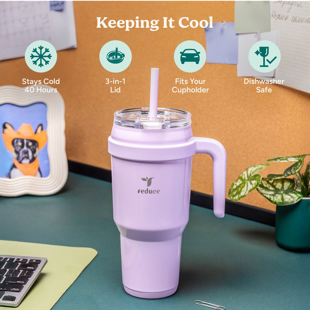 cold1-40-oz-x1 Cold1_40oz_PalmLeaf_Infographic_1.jpg