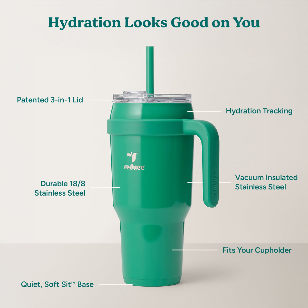 cold1-40-oz-x1 Cold1_40oz_PalmLeaf_Infographic_2.jpg