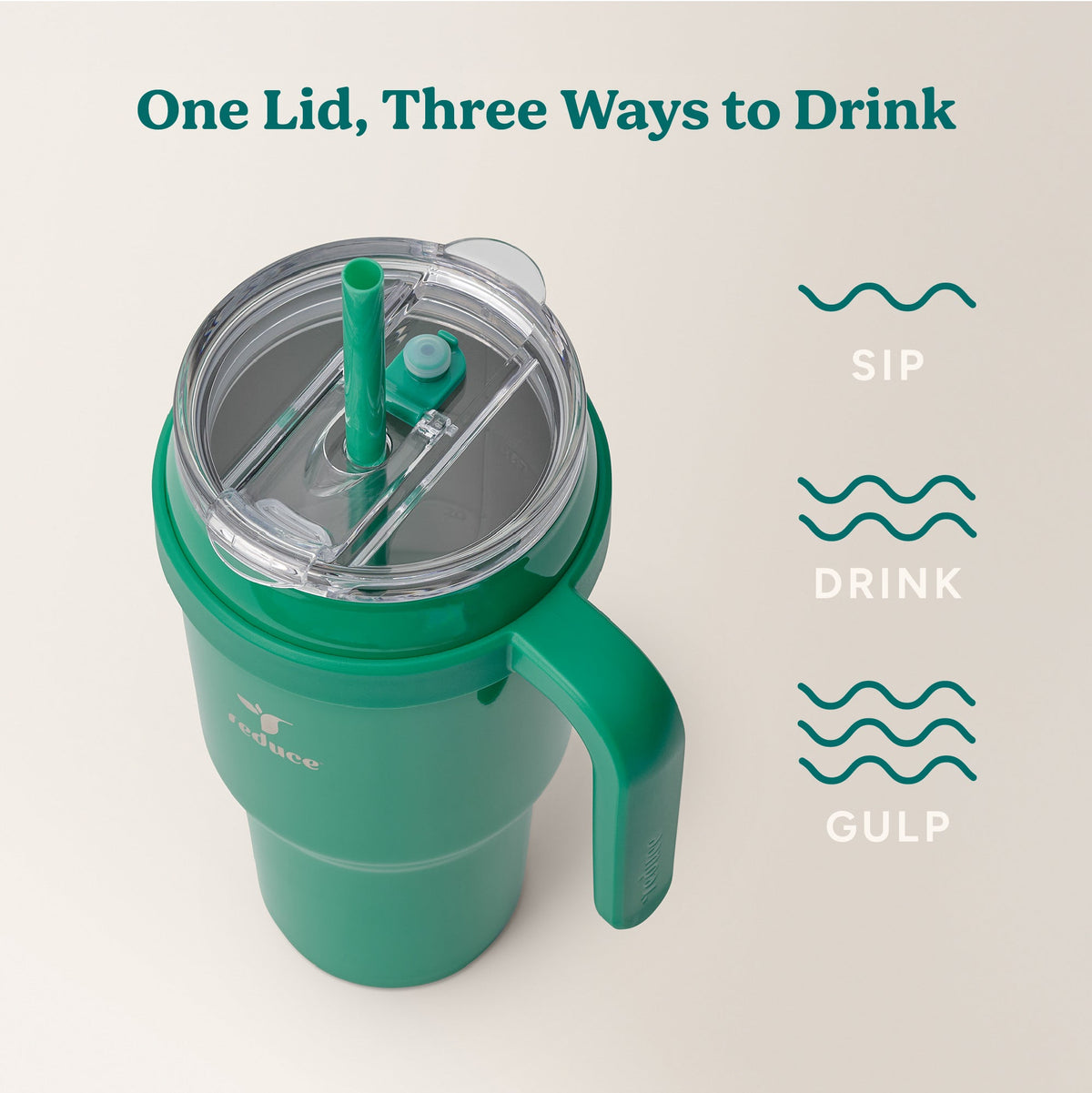 cold1-40-oz-x1 Cold1_40oz_PalmLeaf_Infographic_3.jpg