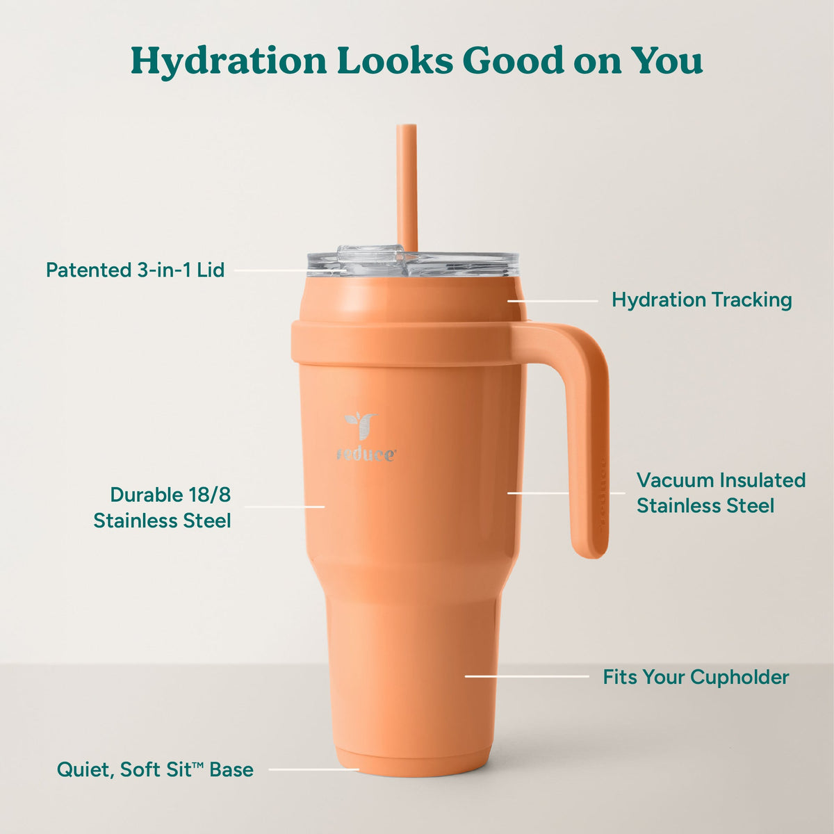 cold1-40-oz-x1 Cold1_40oz_Papaya_Infographic_2.jpg